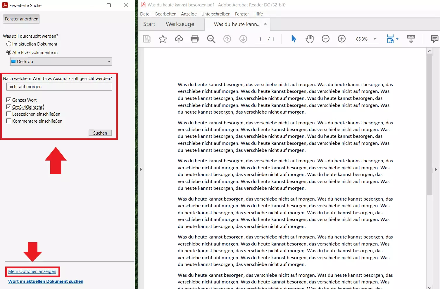 Erweiterte Suche“ in PDFs: „Mehr Optionen anzeigen“