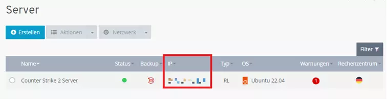 Die IP-Adresse des Servers im Kundenkonto