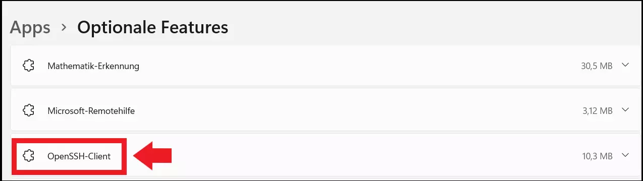 Das Menü „Optionale Features“ mit dem Windows 11 OpenSSH-Client