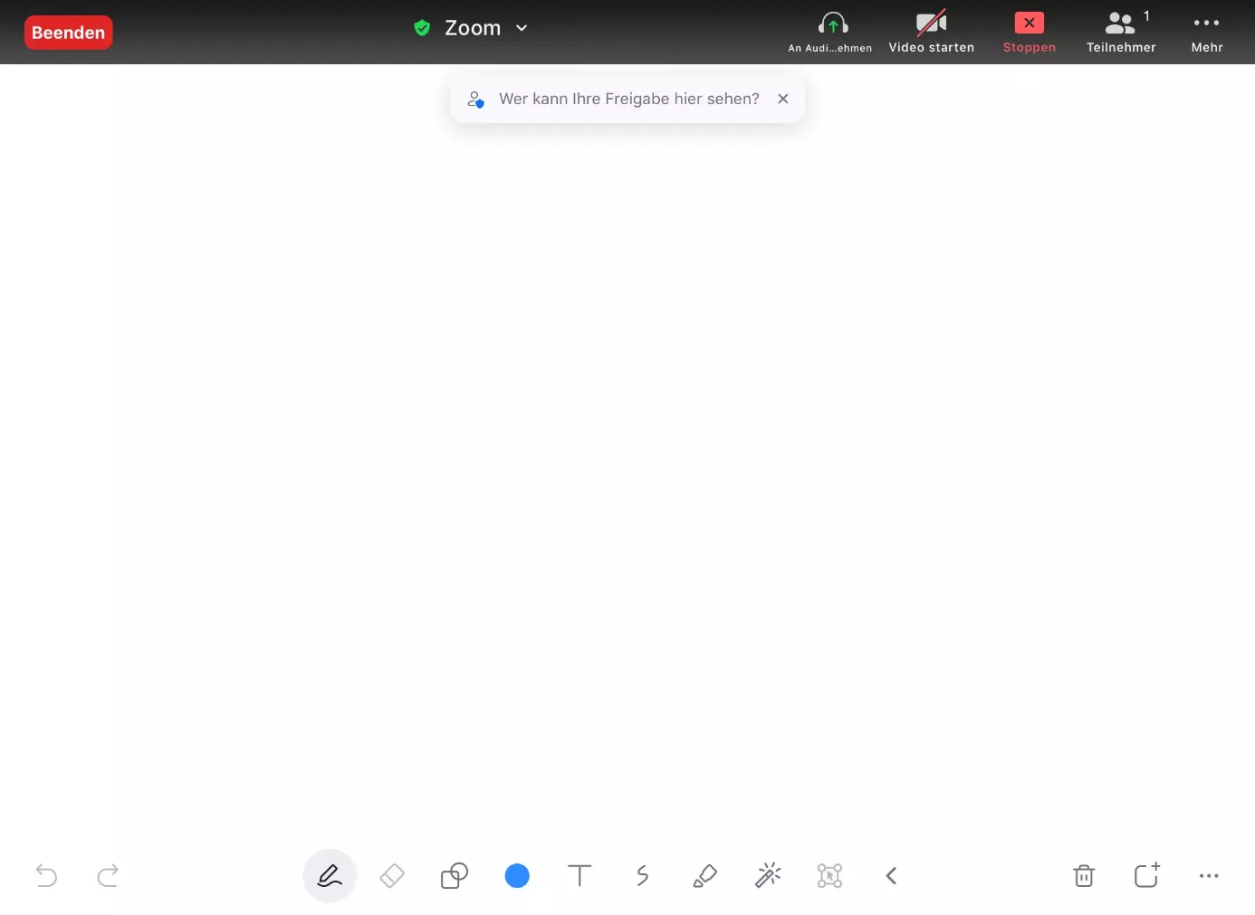 Leeres Zoom-Whiteboard in der iPad-App