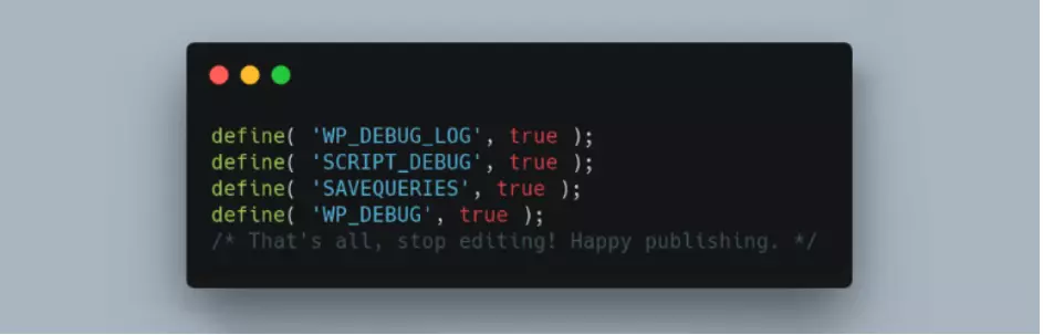 Plugin WP Debugging