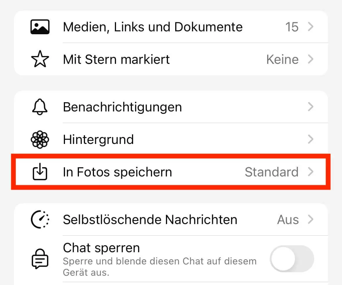 Screenshot der WhatsApp-Chateinstellungen unter iOS