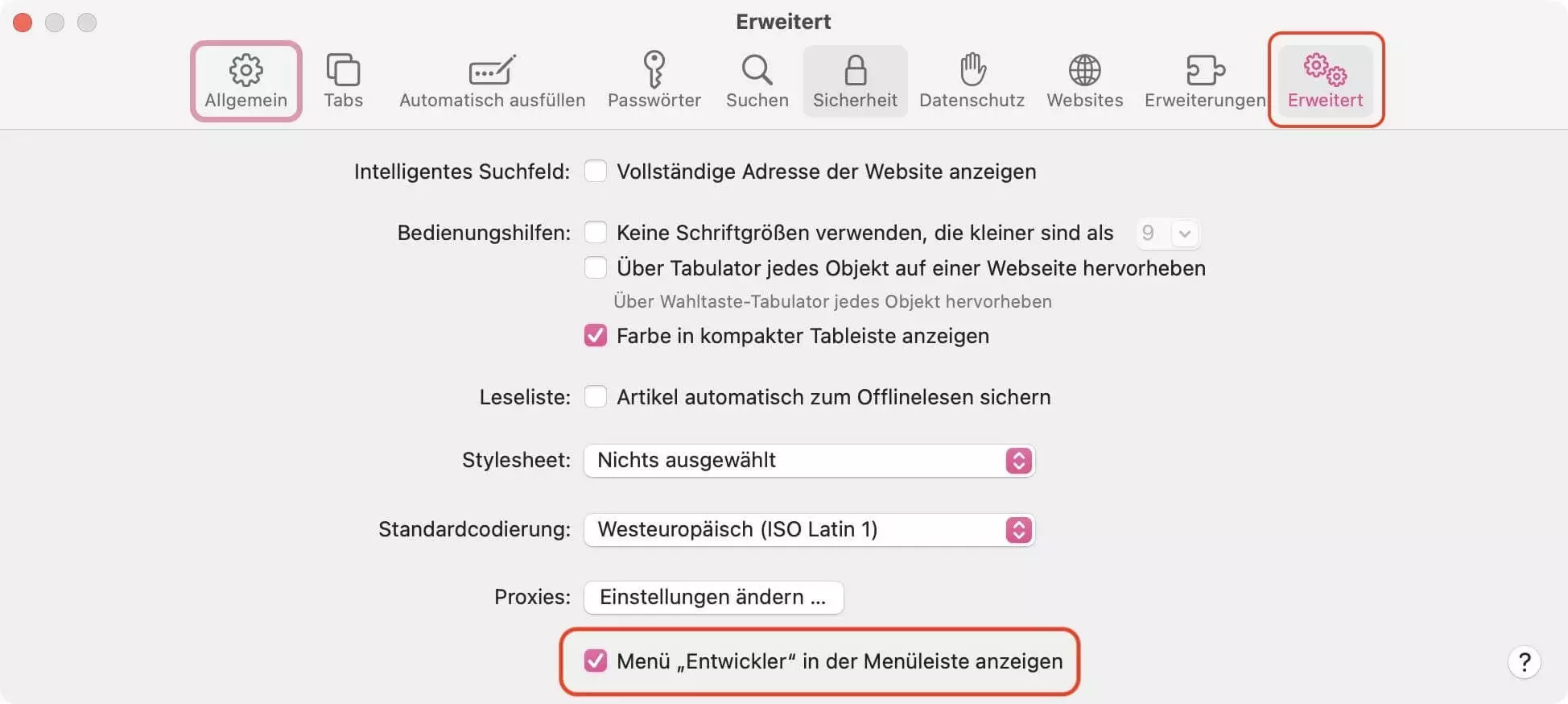 „Entwickler“-Menü in den erweiterten Einstellungen von Safari