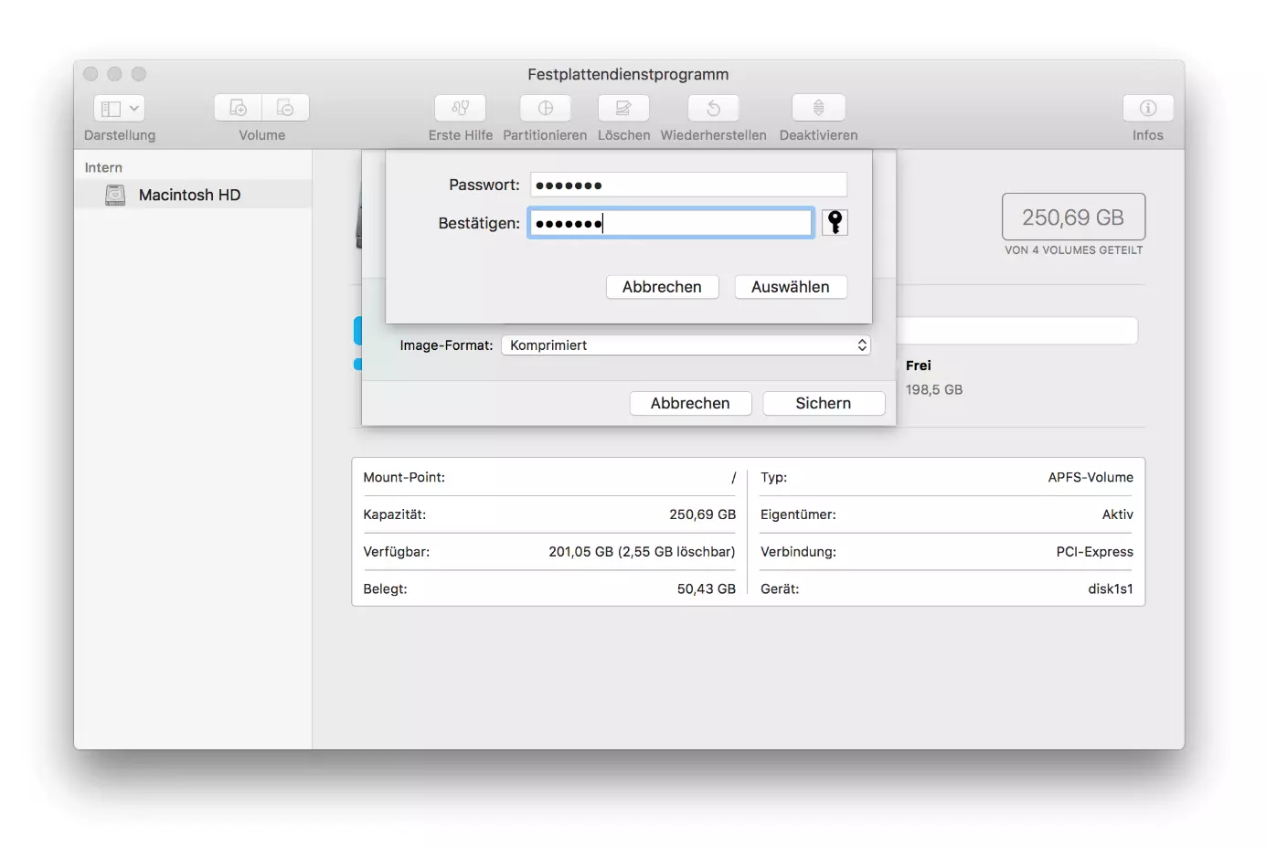 macOS-Festplattendienstprogramm: Passworteingabe