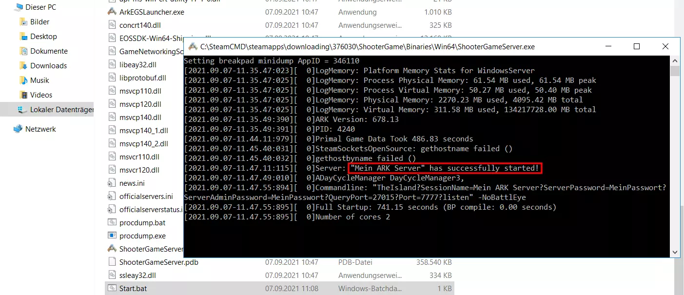 ARK: Dedizierter-Server-Start