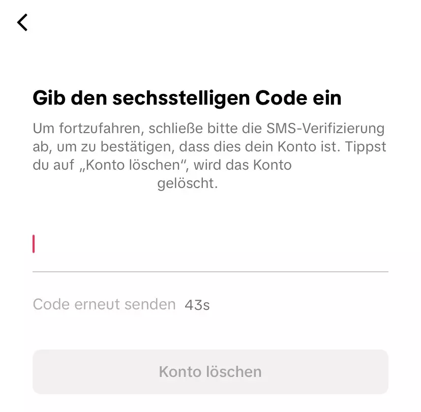 TikTok löschen: Eingabemaske für den Bestätigungscode