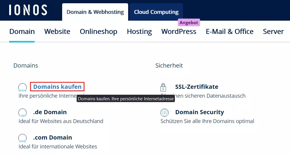 IONOS Website: Eigene Domain für ProtonMail kaufen