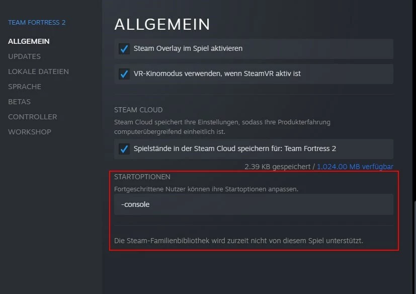 Befehl zum Aufrufen der Entwicklerkonsole in den Steam-Einstellungen eingeben