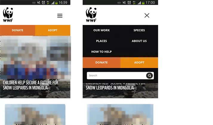 Beispiel Raster-Navigation, WWF