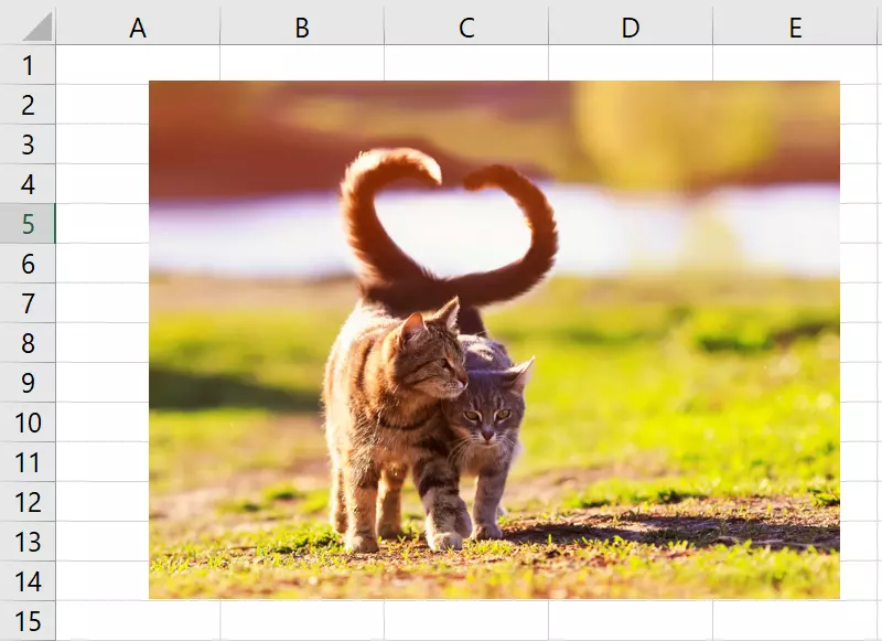 Ein großes Bild wurde in Excel eingefügt