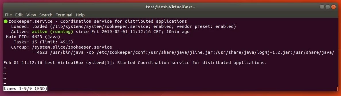 Ubuntu-Terminal: Rückmeldung des aktiven ZooKeeper-Services