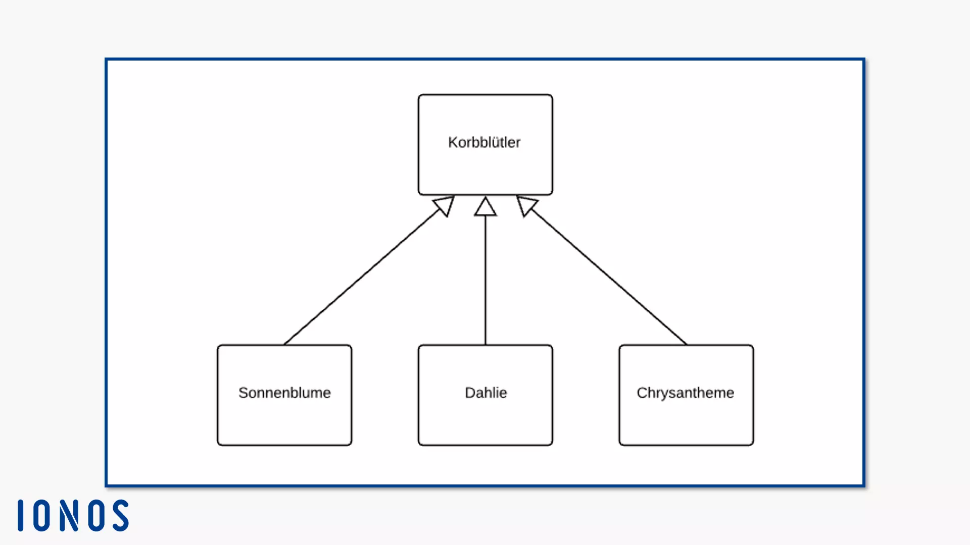 Verallgemeinerung der Subklassen Sonnenblume, Dahlie und Chrysantheme zur Superklasse Korbblütler