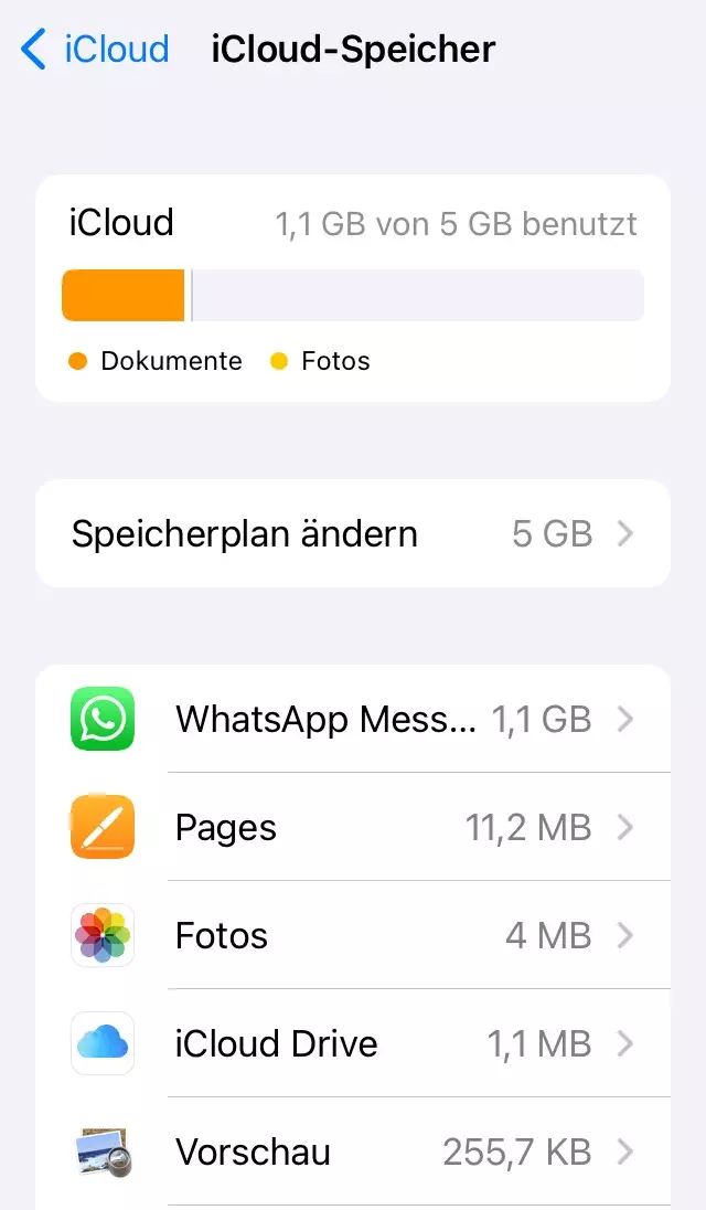 Screenshot der Option „Speicher verwalten“ auf dem iPhone