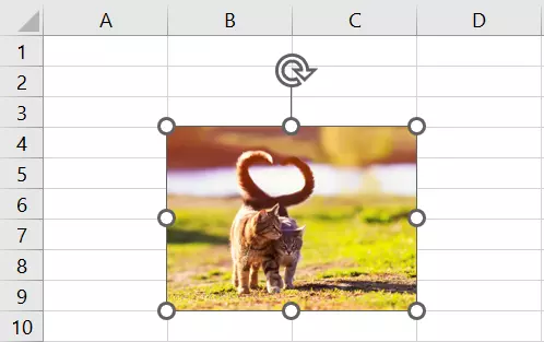 Bild in Excel mit der Maus anpassen