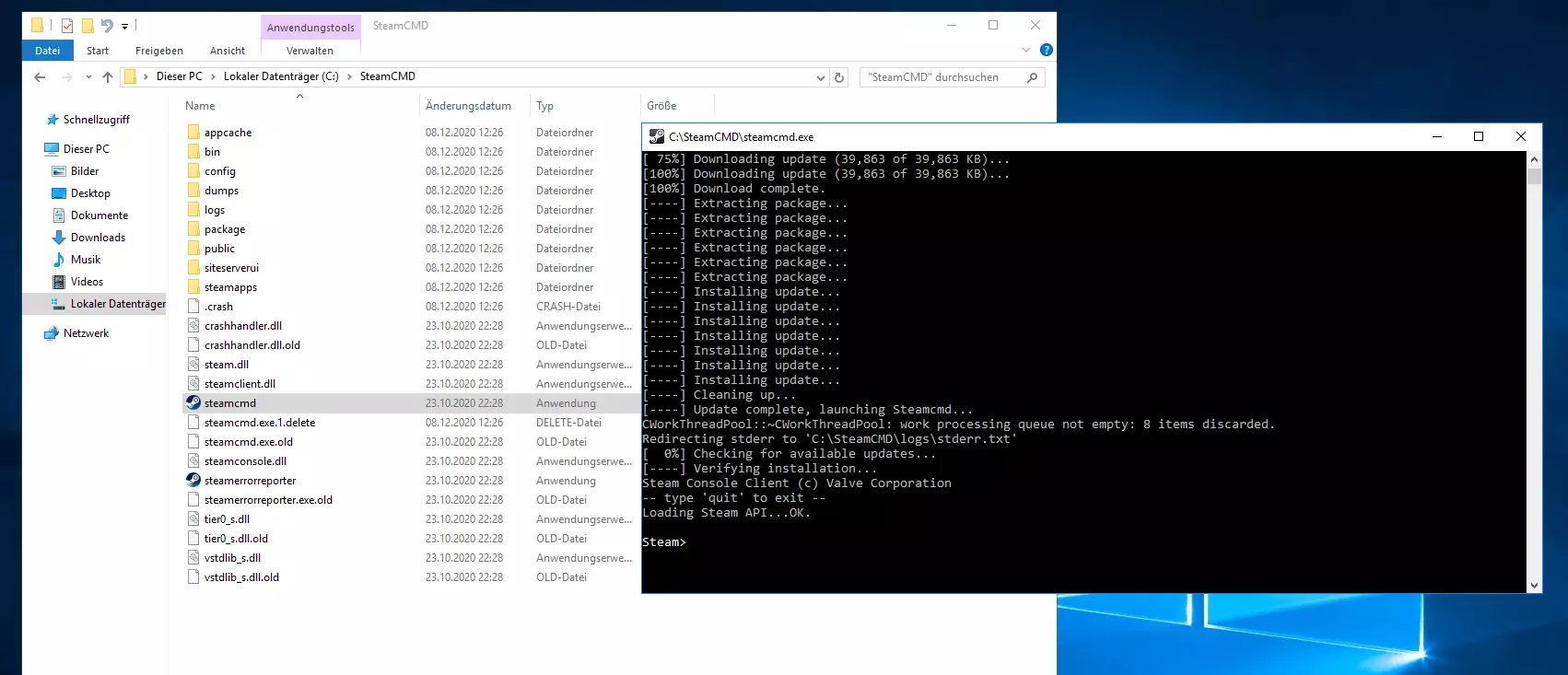 SteamCMD-Installation via Windows-Eingabeaufforderung