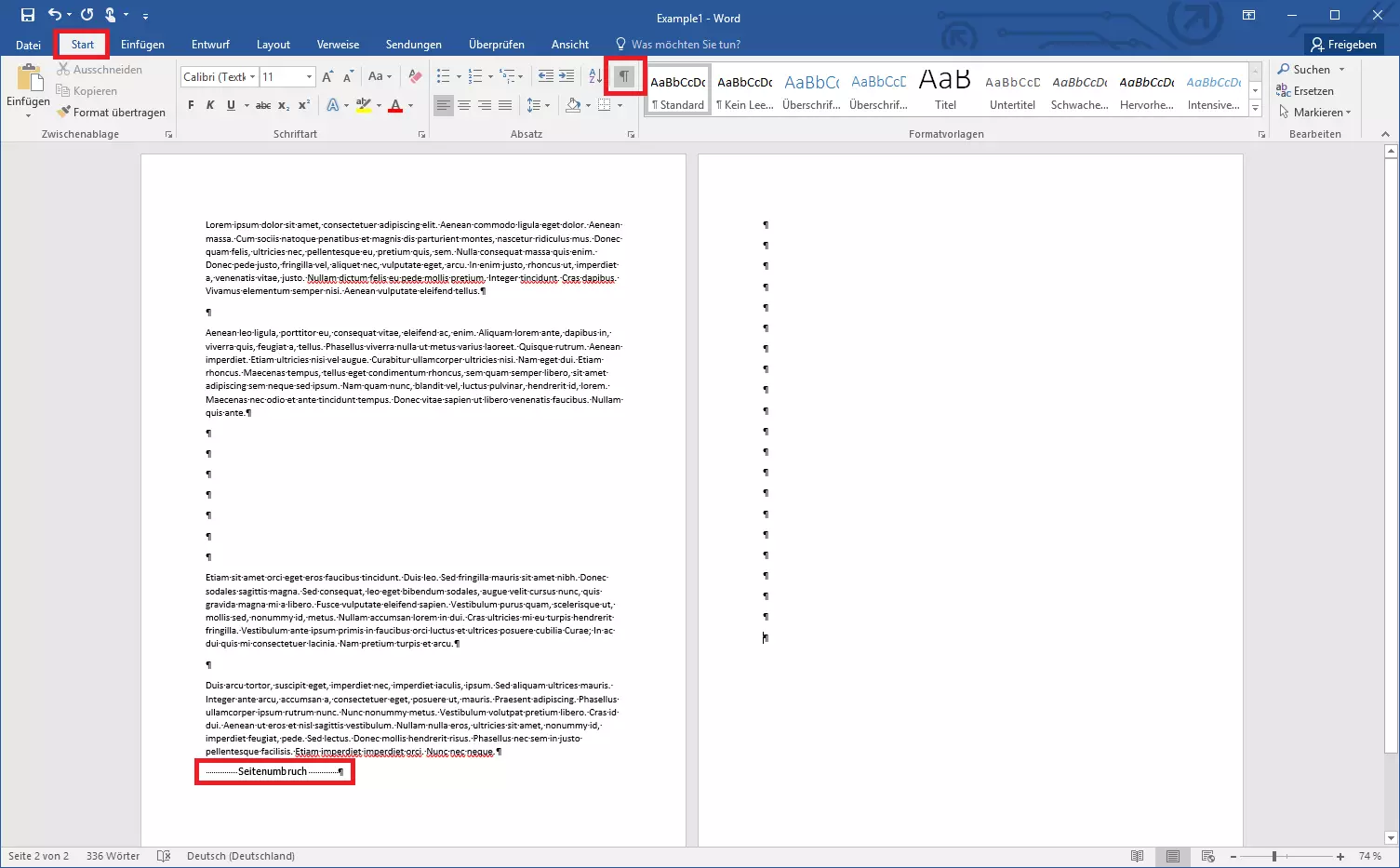 Sichtbare Steuerzeichen um in Word Seiten zu löschen