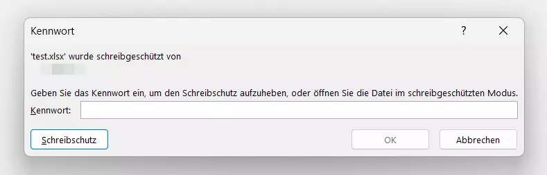 Meldung bei schreibgeschützter Excel-Datei