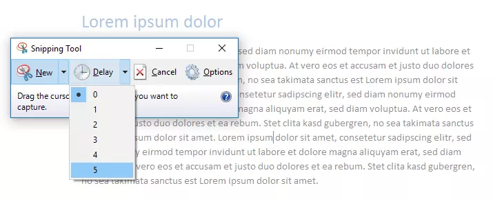 Funktion „Zeitverzögerung“ im Windows-10-Snipping-Tool