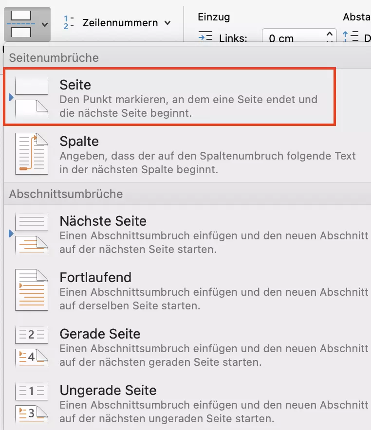 Word-Menü für Seitenumbrüche