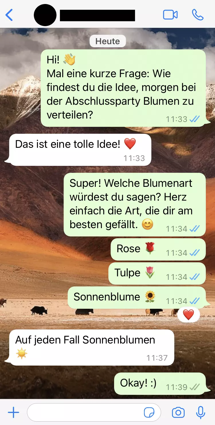 Screenshot des Herz-Emoticons neben der WhatsApp-Nachricht „Das ist eine tolle Idee!“ und als Reaktion