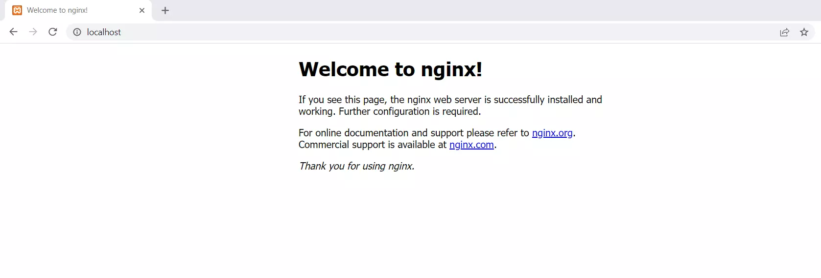 Nginx im Browser starten