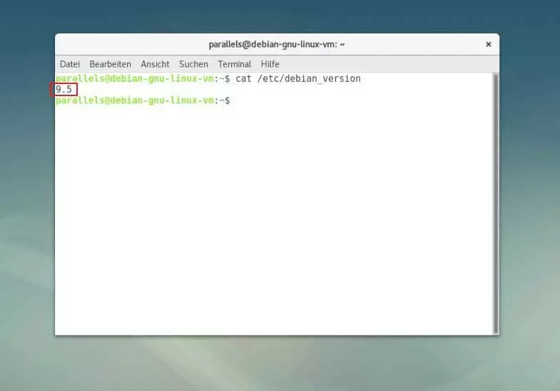 Der cat-Befehl zeigt die Debian-Version im Terminal an