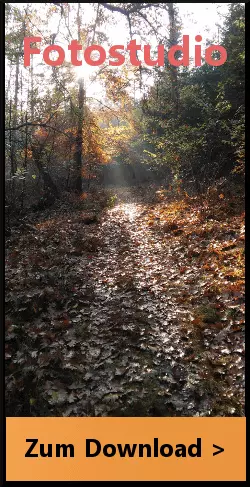 Werbebanner mit einem herbstlichen Wald als Bildhintergrund