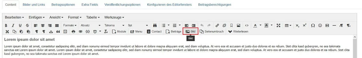 Joomla: Menüleiste des Editors TinyMCE