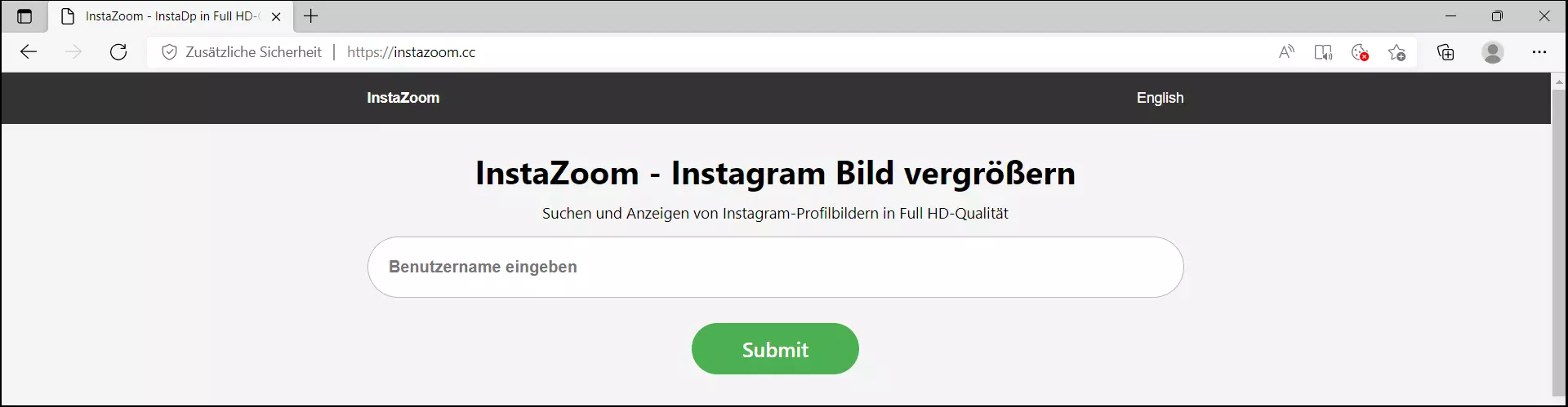 Die Landingpage der Website InstaZoom