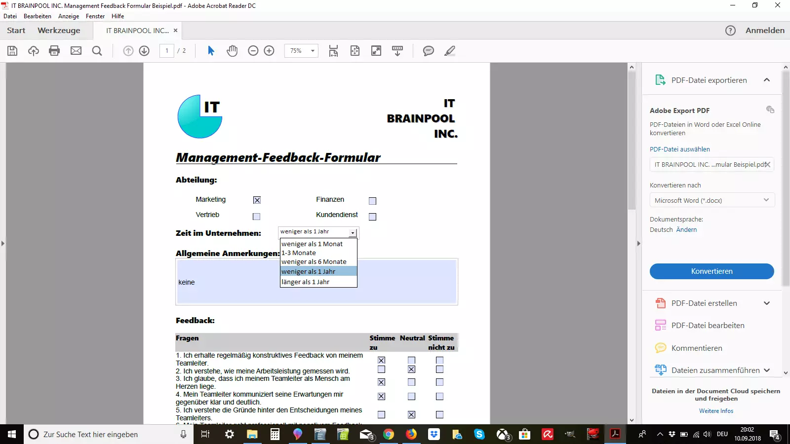 Beispiel für ein Management-Feedback-Formular in einem PDF-Reader