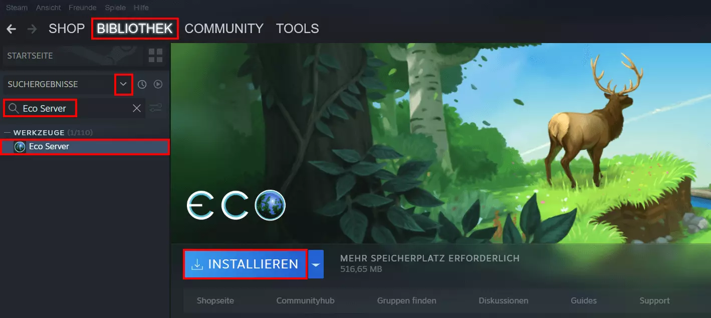 Steam-Bibliothek: Installation der Eco-Server-Software