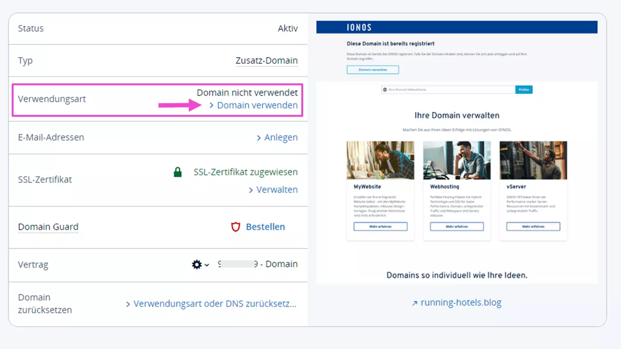 Ansicht „Domain Bearbeitungs-Optionen“