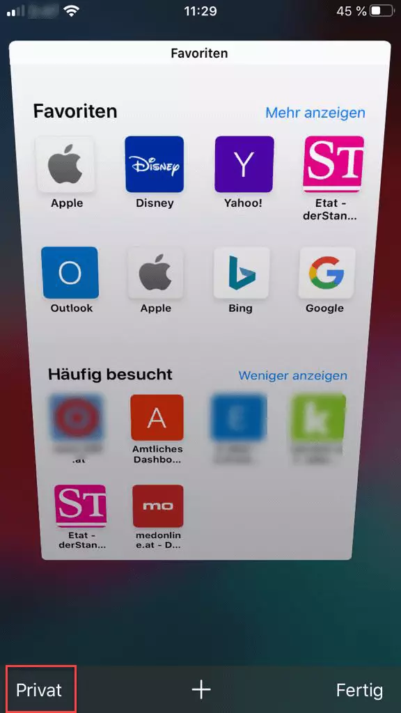 iPhone-Benutzeroberfläche: Einstellungsmöglichkeiten