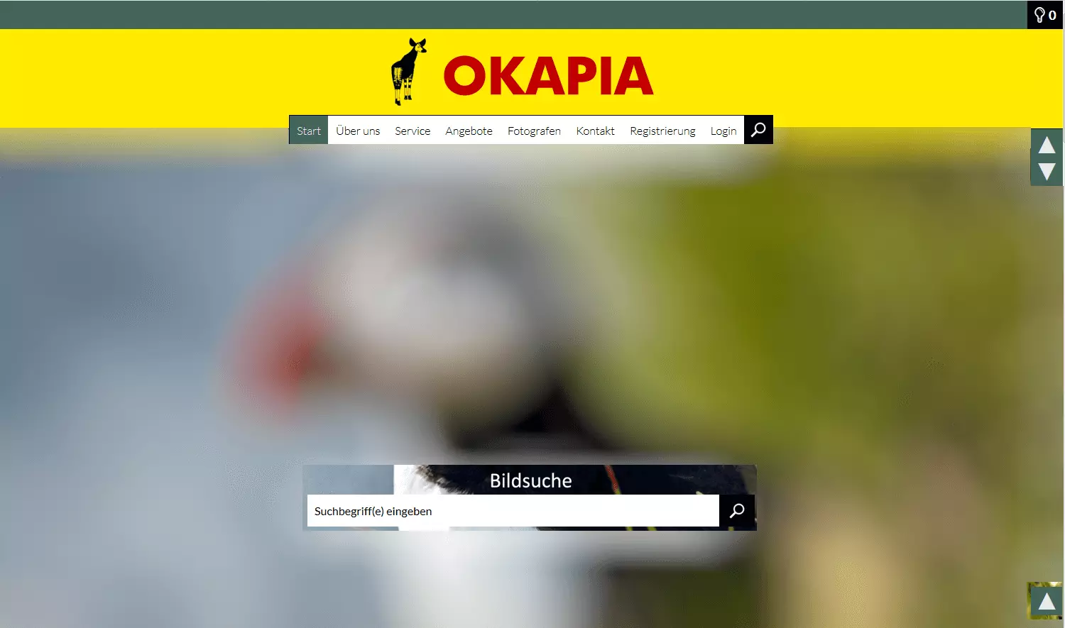 OKAPIA