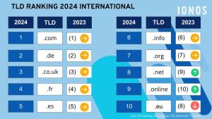 Die IONOS Top 10 der Top Level Domains 2024 international / IONOS