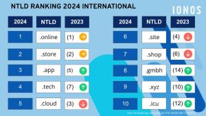 Die IONOS Top 10 der neuen Top Level Domains 2024 international / IONOS